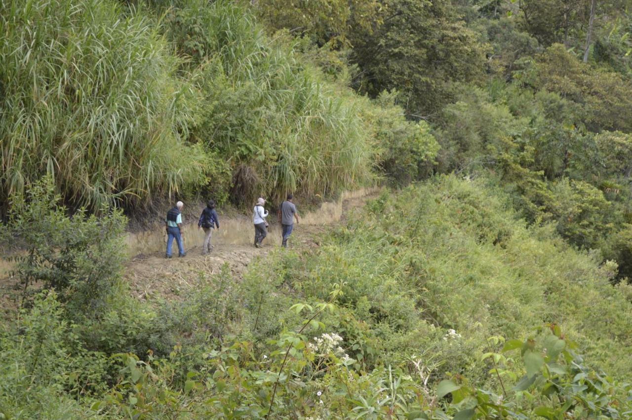 Sonarte Reserva Natural Cordoba  Dış mekan fotoğraf