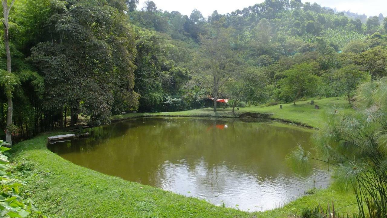 Sonarte Reserva Natural Cordoba  Dış mekan fotoğraf