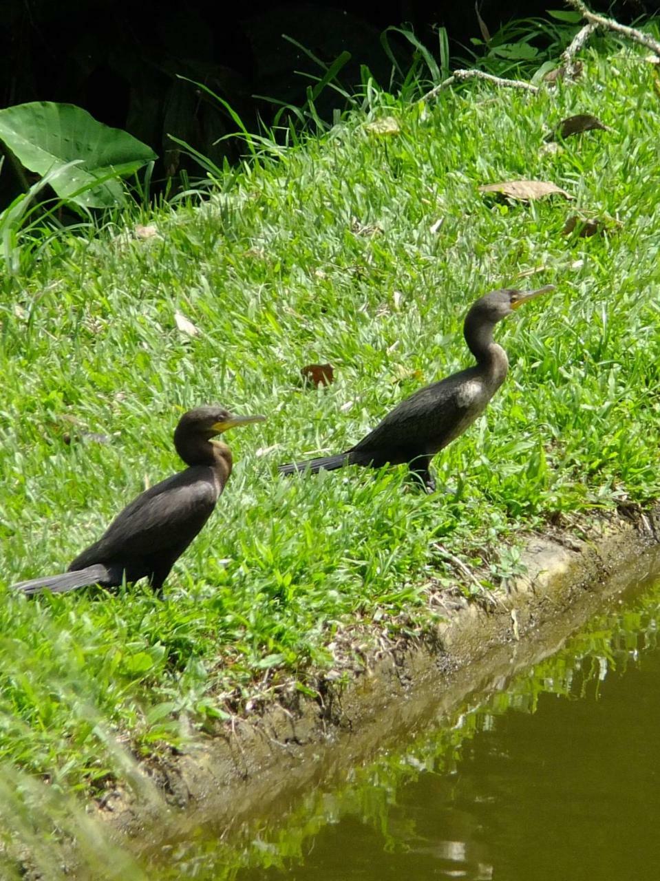 Sonarte Reserva Natural Cordoba  Dış mekan fotoğraf