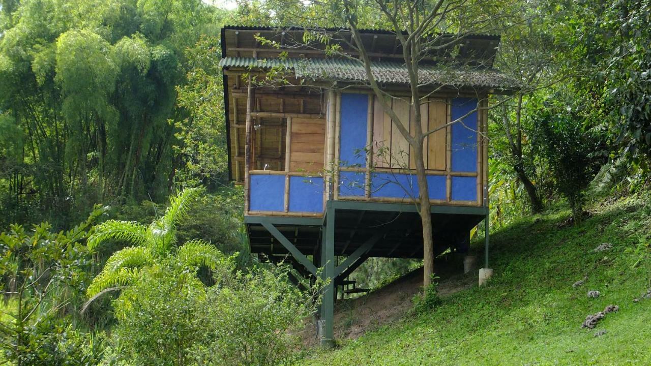 Sonarte Reserva Natural Cordoba  Dış mekan fotoğraf