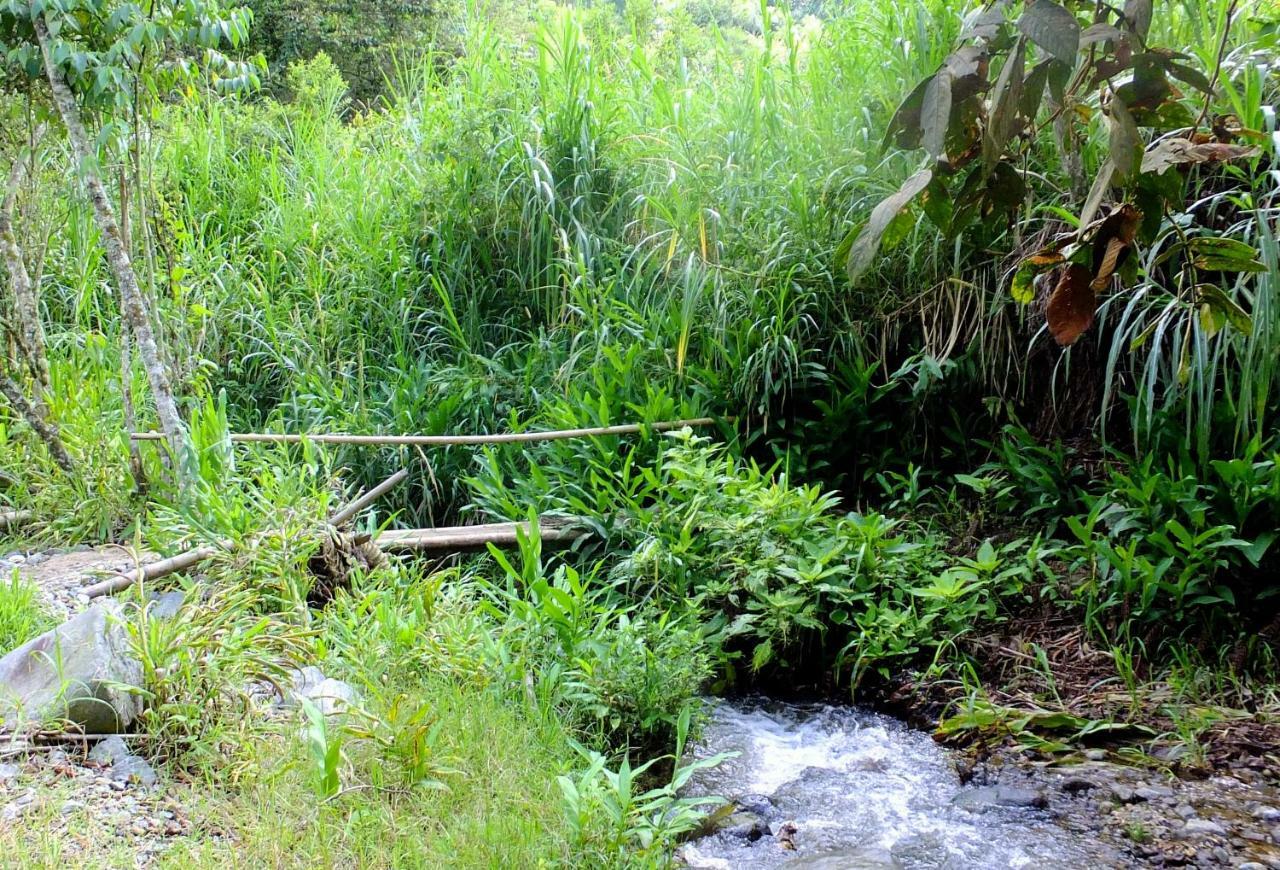 Sonarte Reserva Natural Cordoba  Dış mekan fotoğraf