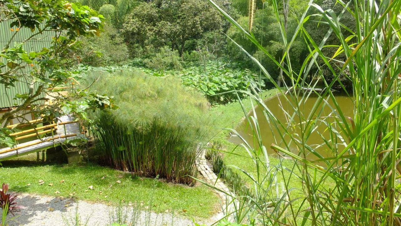 Sonarte Reserva Natural Cordoba  Dış mekan fotoğraf